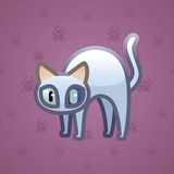 Scared Cat #16421 Scared Cat #16421