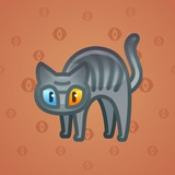 Scared Cat #16451 Scared Cat #16451