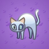 Scared Cat #16493 Scared Cat #16493