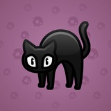 Scared Cat #16536