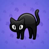 Scared Cat #16607 Scared Cat #16607