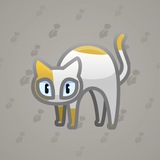 Scared Cat #16649 Scared Cat #16649