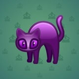 Scared Cat #16657 Scared Cat #16657