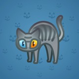 Scared Cat #16678 Scared Cat #16678