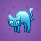 Scared Cat #16699 Scared Cat #16699