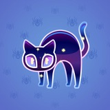 Scared Cat #16761 Scared Cat #16761