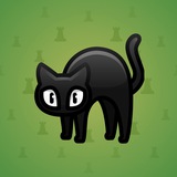 Scared Cat #16778 Scared Cat #16778