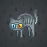 Scared Cat #16781 Scared Cat #16781