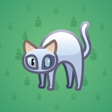 Scared Cat #16789