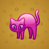 Scared Cat #16835 Scared Cat #16835