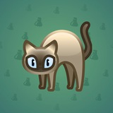 Scared Cat #1684 Scared Cat #1684