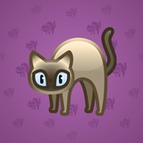 Scared Cat #16855