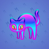 Scared Cat #16859 Scared Cat #16859