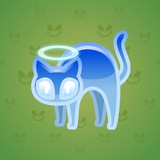 Scared Cat #16877 Scared Cat #16877