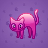 Scared Cat #16909 Scared Cat #16909
