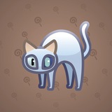 Scared Cat #16927 Scared Cat #16927