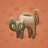 Scared Cat #1694 Scared Cat #1694