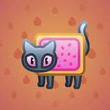Scared Cat #16966 Scared Cat #16966