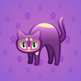 Scared Cat #17052