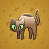 Scared Cat #17103 Scared Cat #17103