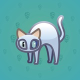 Scared Cat #17154