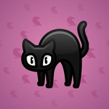 Scared Cat #17155 Scared Cat #17155