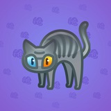 Scared Cat #17204 Scared Cat #17204