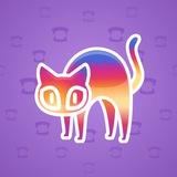 Scared Cat #1743