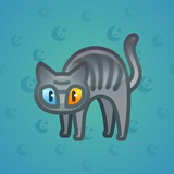 Scared Cat #17508 Scared Cat #17508