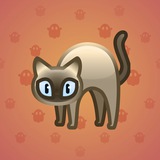 Scared Cat #17536