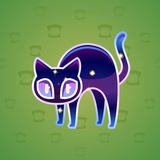 Scared Cat #17547 Scared Cat #17547