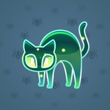 Scared Cat #17670