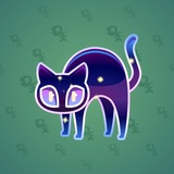 Scared Cat #17677 Scared Cat #17677