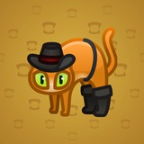 Scared Cat #17711 Scared Cat #17711