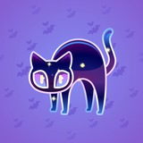 Scared Cat #17734 Scared Cat #17734