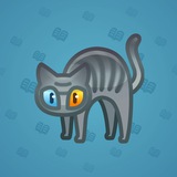 Scared Cat #17738