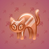 Scared Cat #17802 Scared Cat #17802
