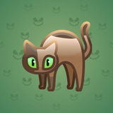 Scared Cat #17805