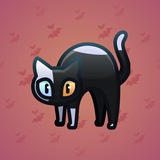Scared Cat #1807 Scared Cat #1807