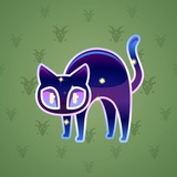 Scared Cat #18073