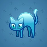 Scared Cat #18144 Scared Cat #18144
