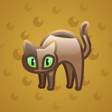 Scared Cat #18153 Scared Cat #18153