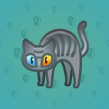 Scared Cat #1816