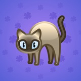 Scared Cat #18318