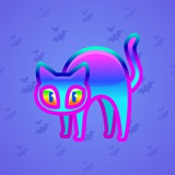 Scared Cat #18373 Scared Cat #18373