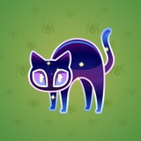 Scared Cat #18411 Scared Cat #18411