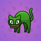 Scared Cat #18442 Scared Cat #18442
