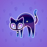 Scared Cat #18483