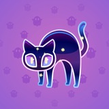 Scared Cat #18545 Scared Cat #18545