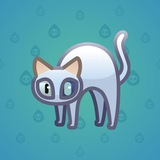 Scared Cat #18566 Scared Cat #18566